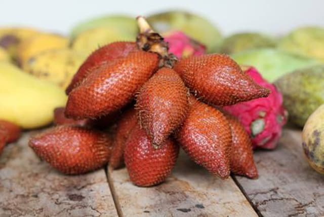 Quả mây gai (ảnh sưu tầm)