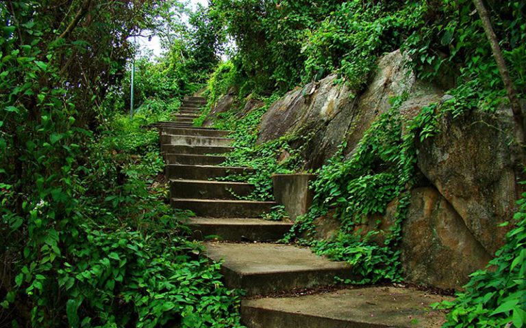 Đường lên núi Sam Châu ĐỐc (ảnh sưu tầm)