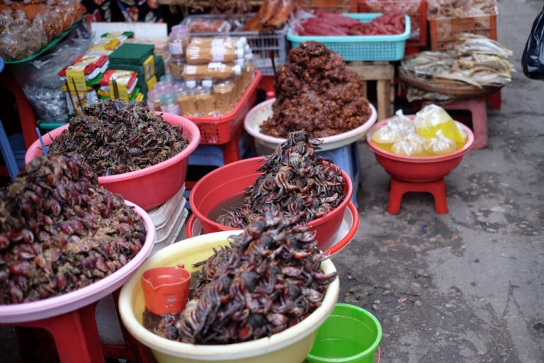 Mắm ba khía (một giống cua càng to đặc trưng của vùng Nam Bộ) cũng là một loại mắm nổi tiếng, được nhiều người yêu thích bởi dễ ăn, dễ chế biến. Ảnh: Minh Hằng.