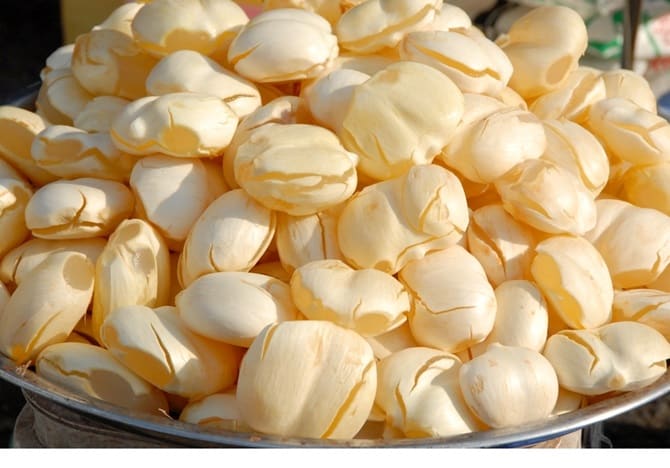Thốt nốt, đặc sản của vùng du lịch Châu Đốc (ảnh sưu tầm)